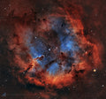 Elephant Trunk Nebula
