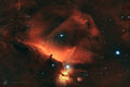 Horse Head Nebula